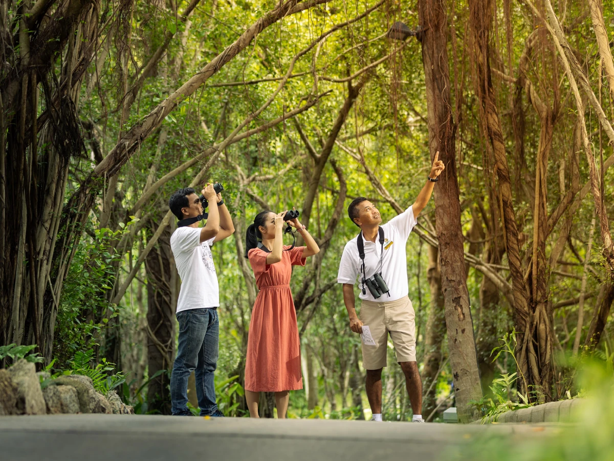 โรงแรมบันยันทรี เกาะสมุย