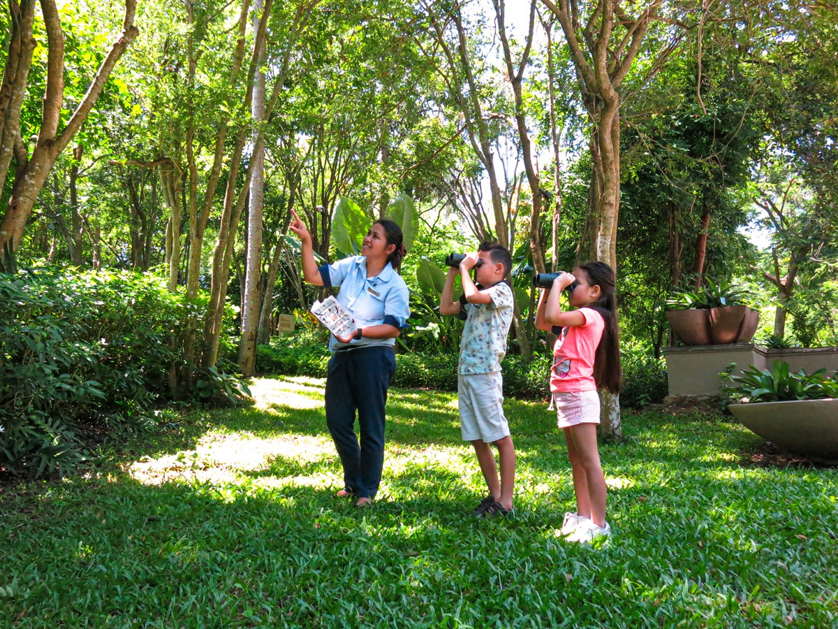 BANYAN TREE SAMUI