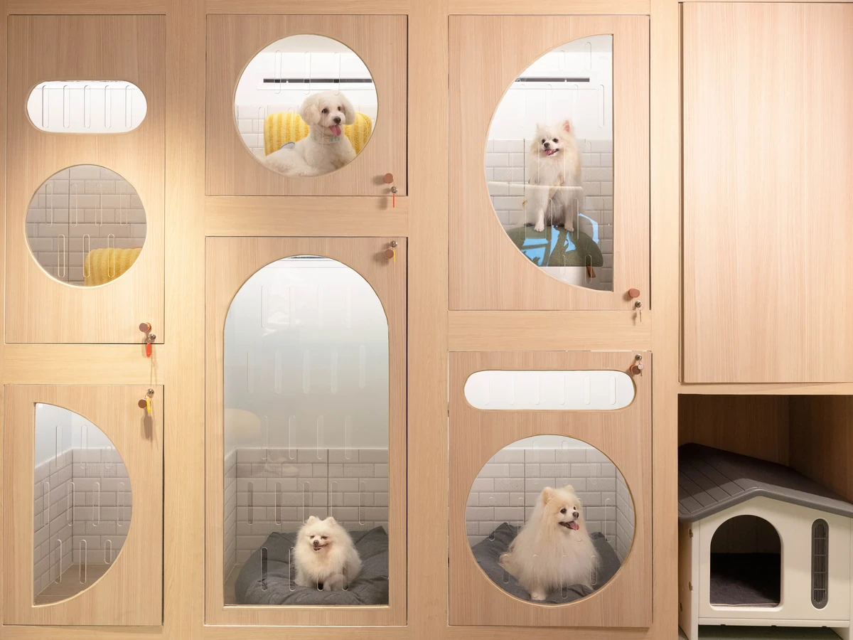 The Empire